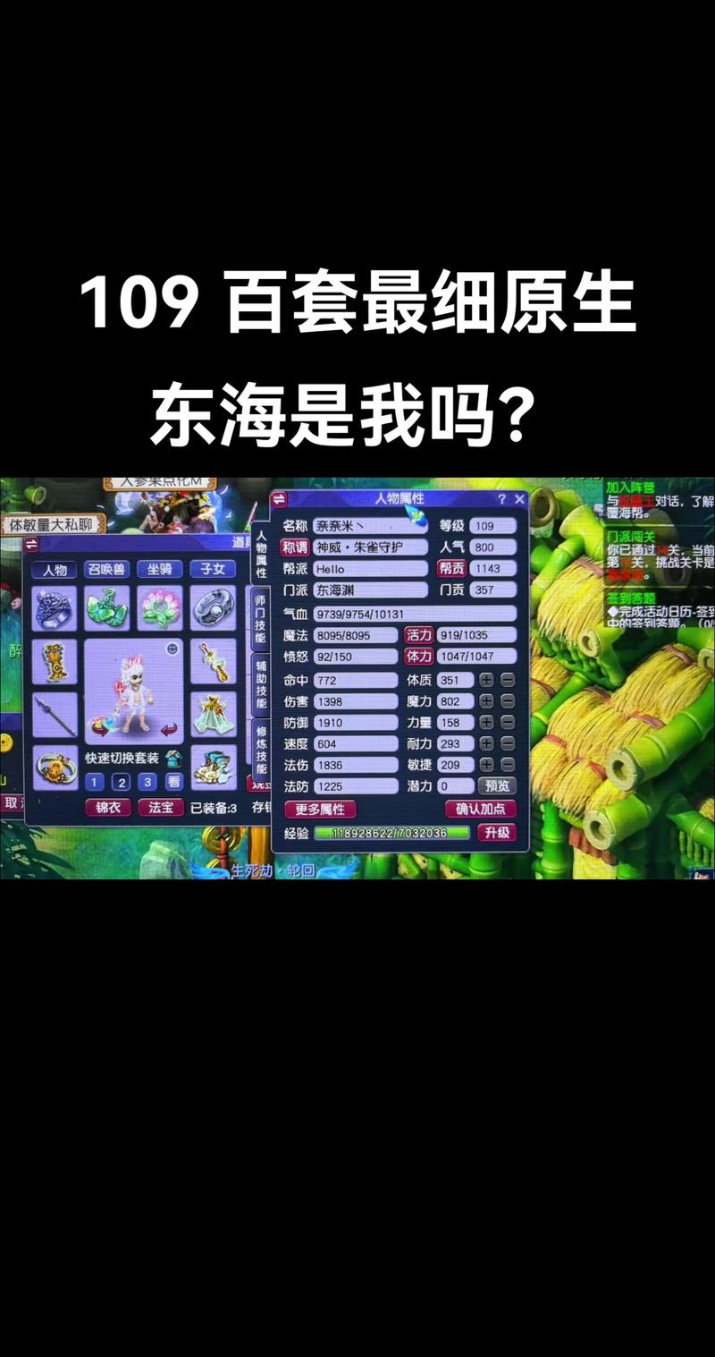 梦幻西游私服免费版，全面解析与指南