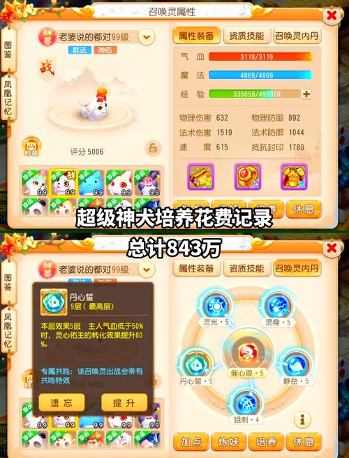梦幻西游私服宝宝,打造你的专属宠物