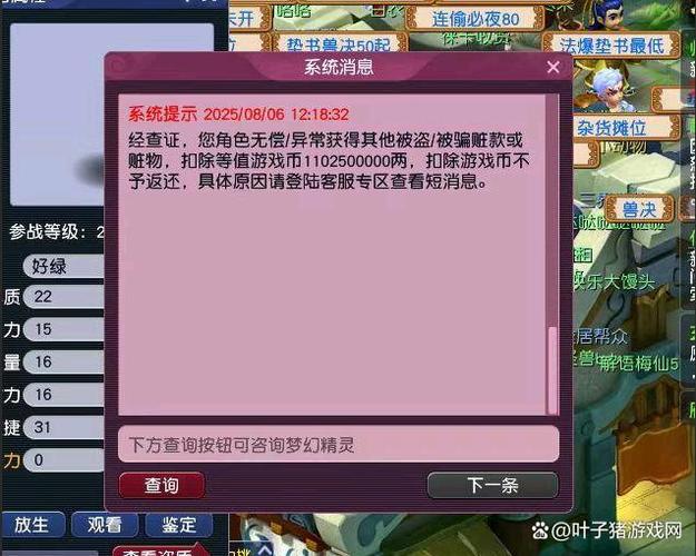 揭秘梦幻西游私服手游，玩家被捕事件背后的真相