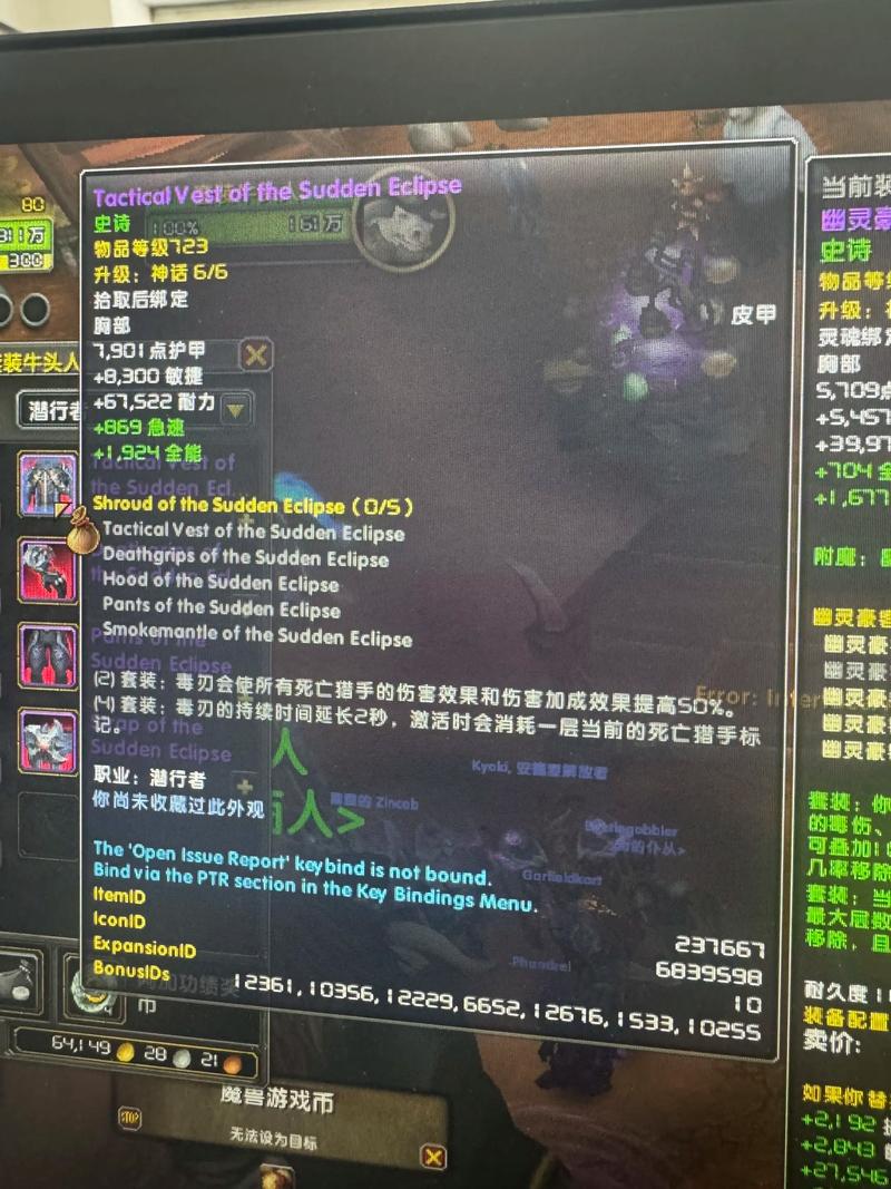 探索全新魔兽世界私服，重温经典战斗