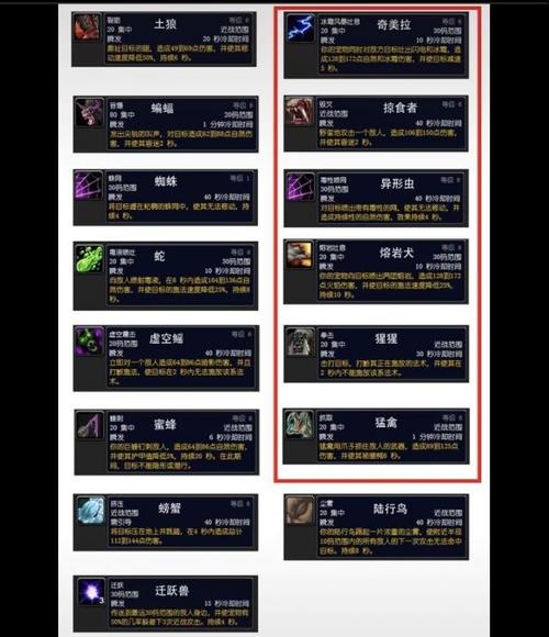 魔兽世界私服猎人宝宝卡技能解析
