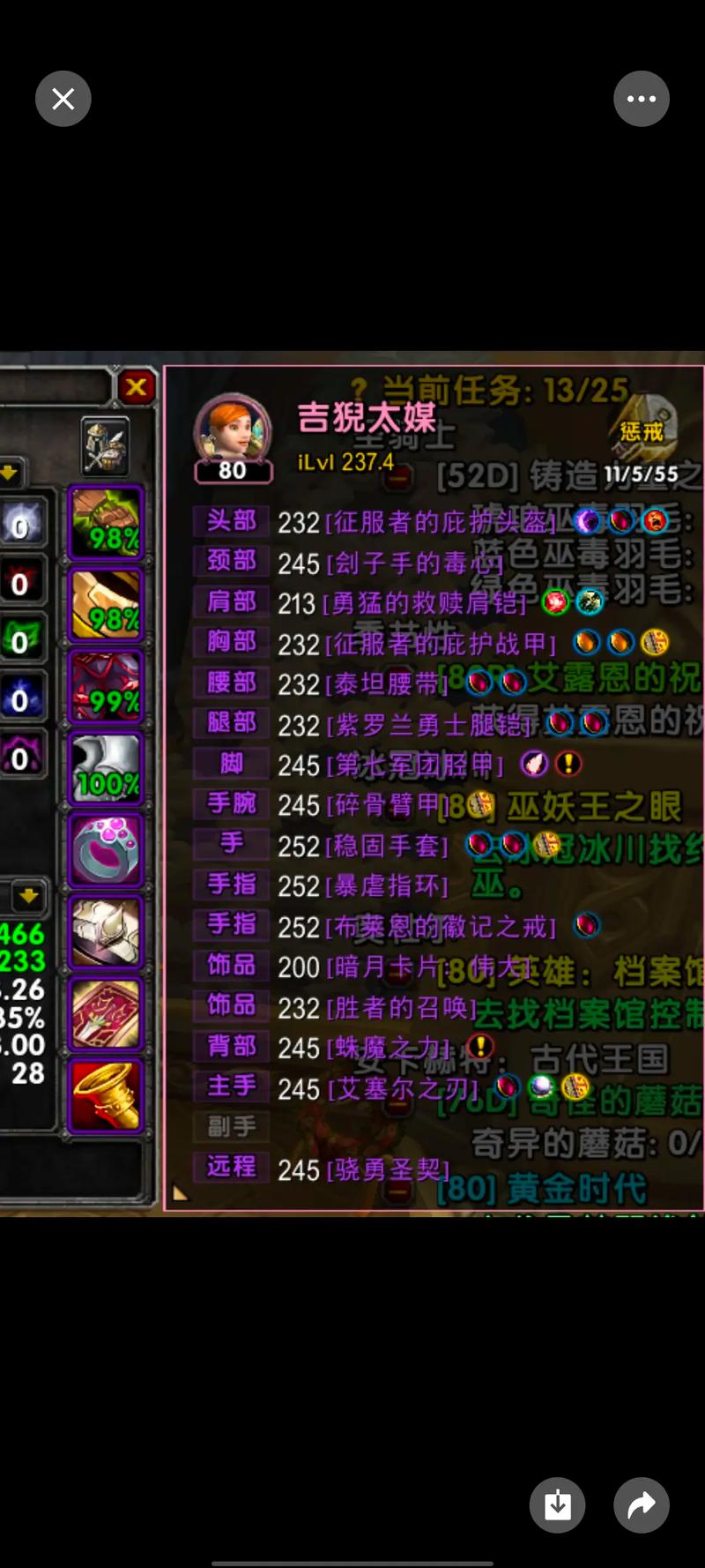 巫妖王版本惩戒骑,输出与生存并重