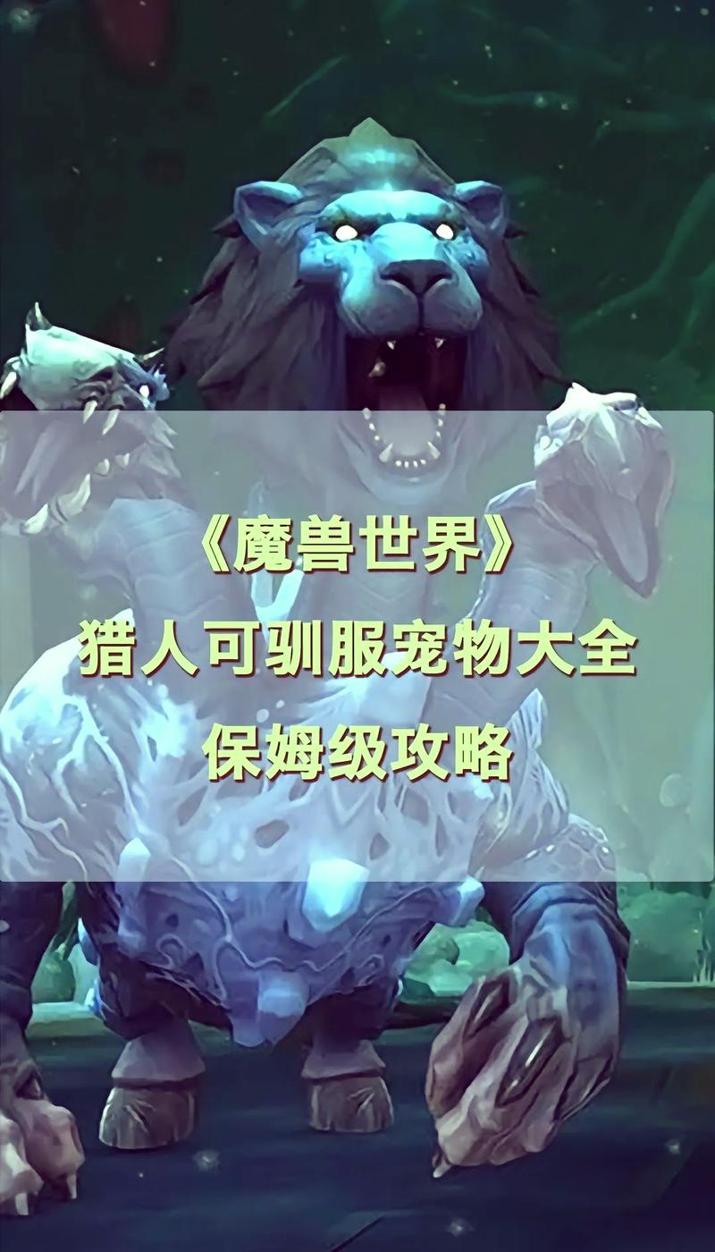 魔兽世界怀旧服60版本猎人宠物推荐
