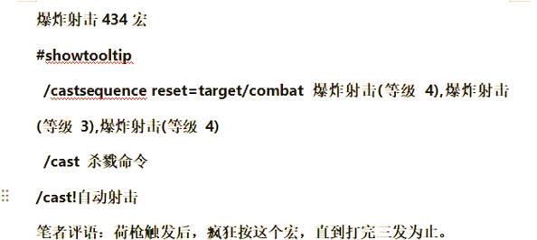 猎人宏命令详解，高效战斗的终极指南