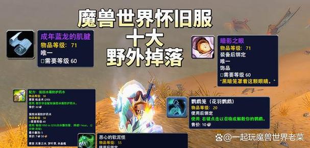 魔兽世界怀旧服中的FX，含义与影响解析