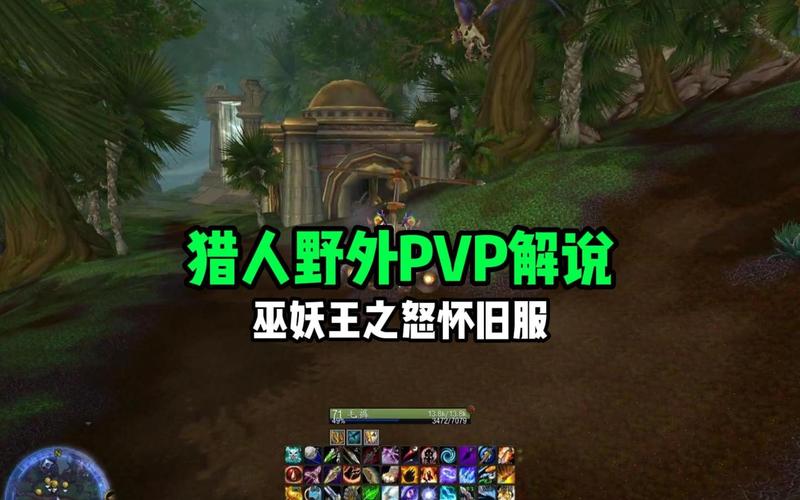 魔兽世界，猎人与术士的终极对决