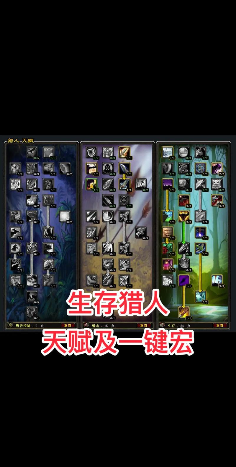 魔兽世界怀旧服中术士与猎人的对比分析