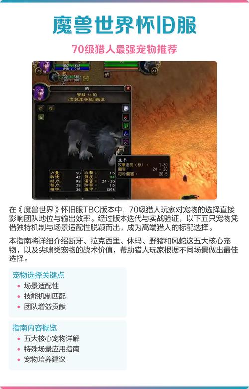 魔兽世界怀旧服,60级与70级版本对比分析