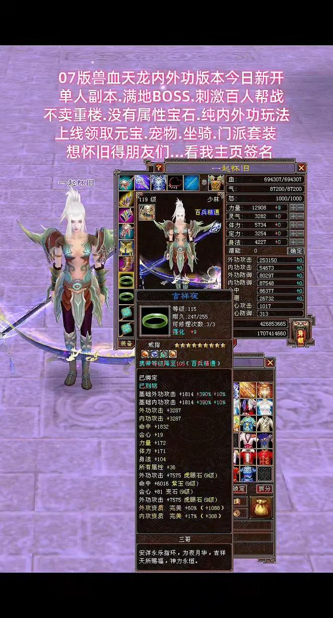 兽血天龙八部私服，最新版下载与全面攻略指南