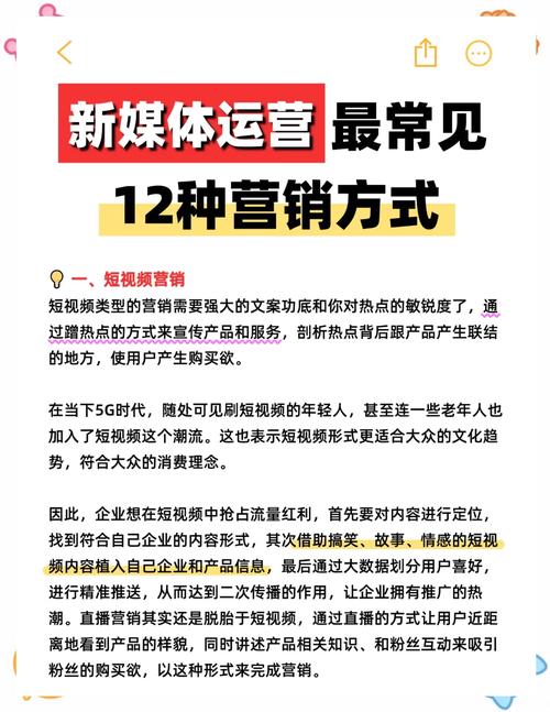 探索数字营销的奥秘，如何有效运用SEO和社交媒体策略提升品牌影响力