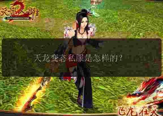 天龙八部私服网站大全,探索全新江湖世界