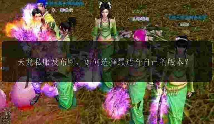 天龙八部SF版本大全,探索武侠江湖的无限精彩