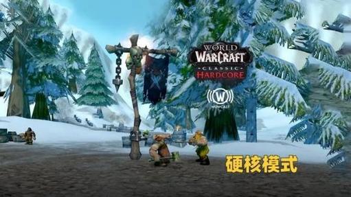 揭秘魔兽世界私服,体验与风险并存的虚拟世界