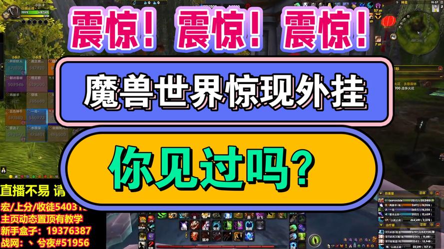 魔兽世界私服外挂的种类与潜在危害全面解析