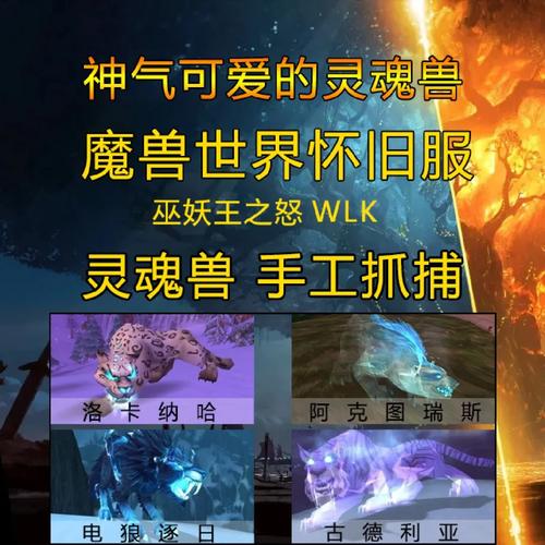 魔兽世界私服中宠物抽搐问题的解决策略