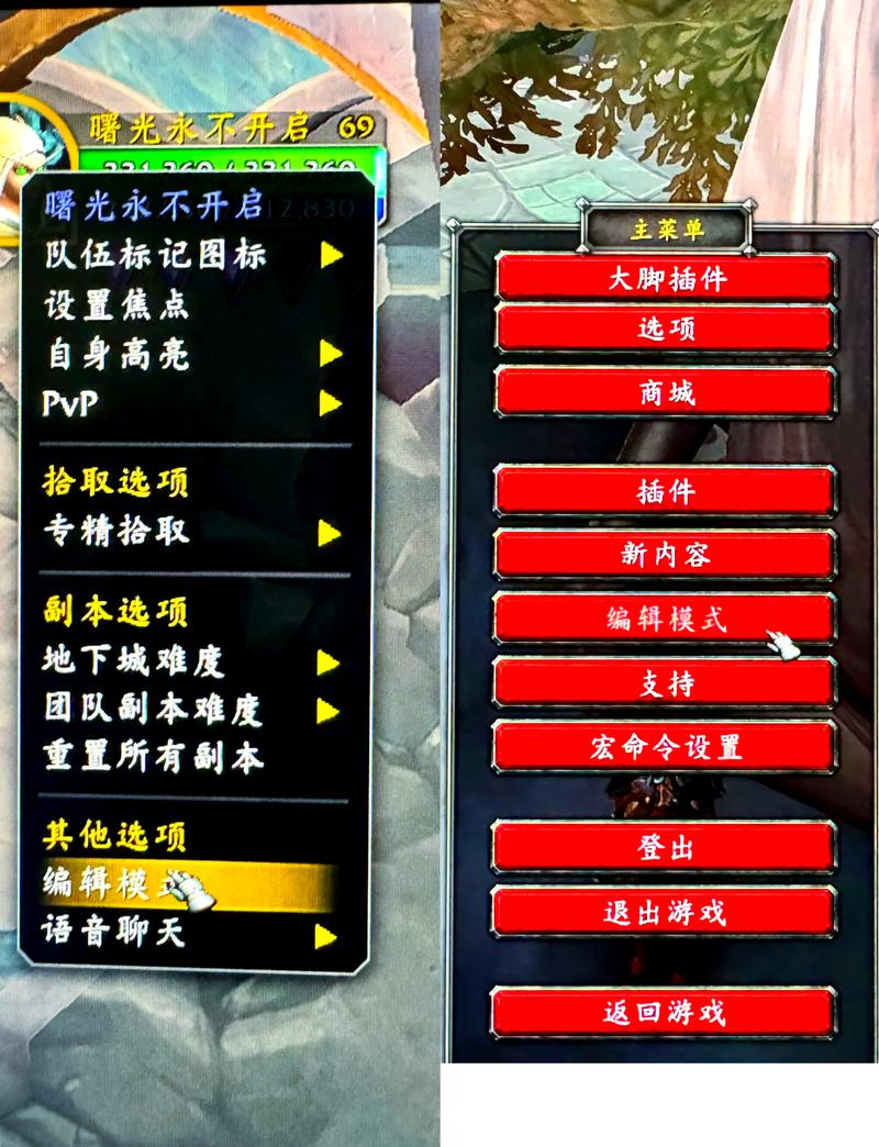 魔兽世界私服脚本群的全面解析与风险评估