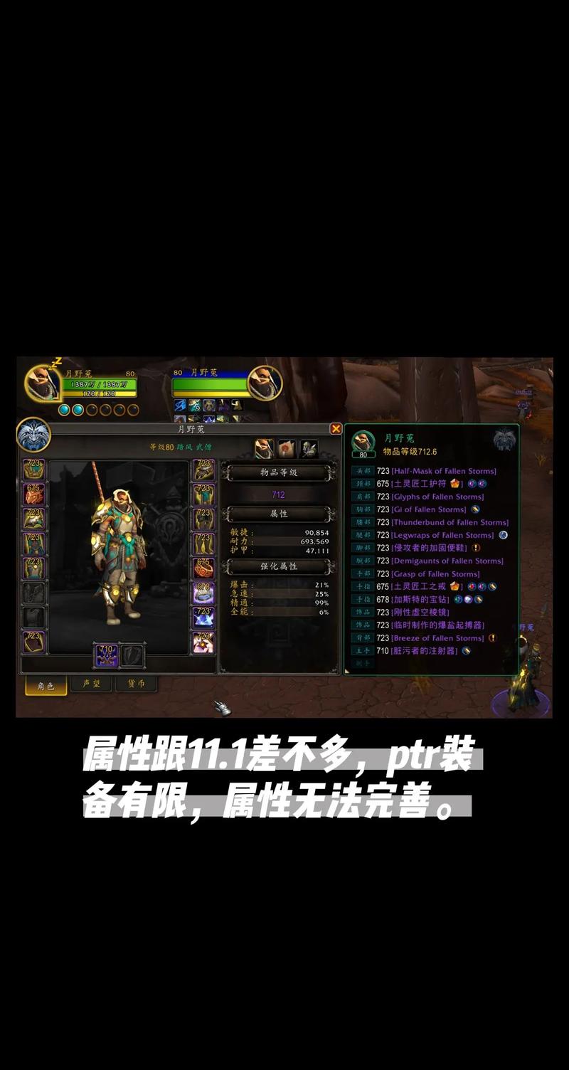 探索魔兽世界私服的魅力与风险