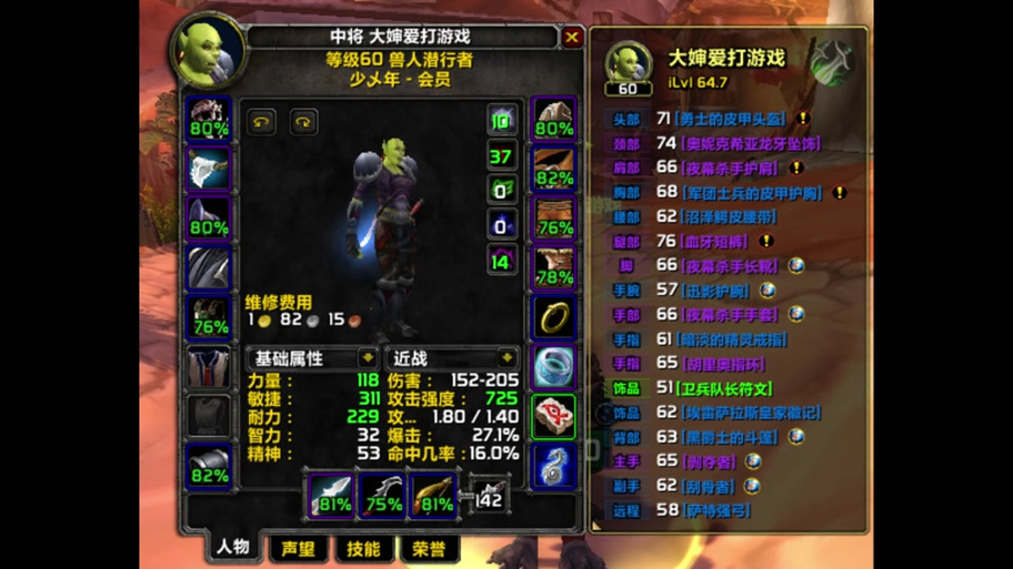 探索魔兽世界私服的魅力与风险