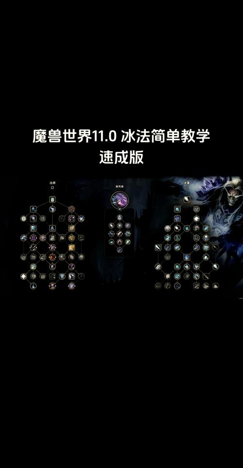 探索魔兽世界私服的奥秘与风险