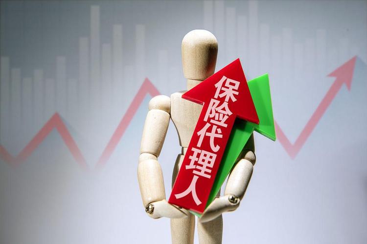 魔兽私服,盈利之道与风险解析