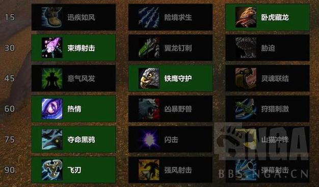 猎人卡伤害攻略，魔兽私服中的策略与技巧