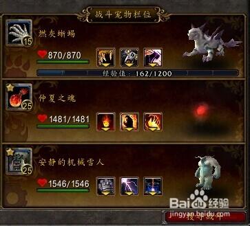 魔兽世界私服宠物抽搐问题解决方案