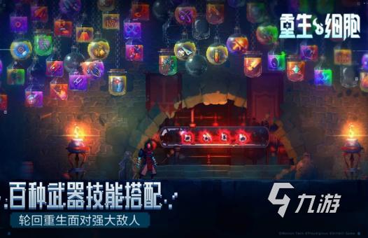 魔兽私服补丁全集,探索、下载与安装指南