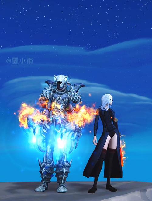 魔兽世界私服，探索其独特魅力与面临的挑战