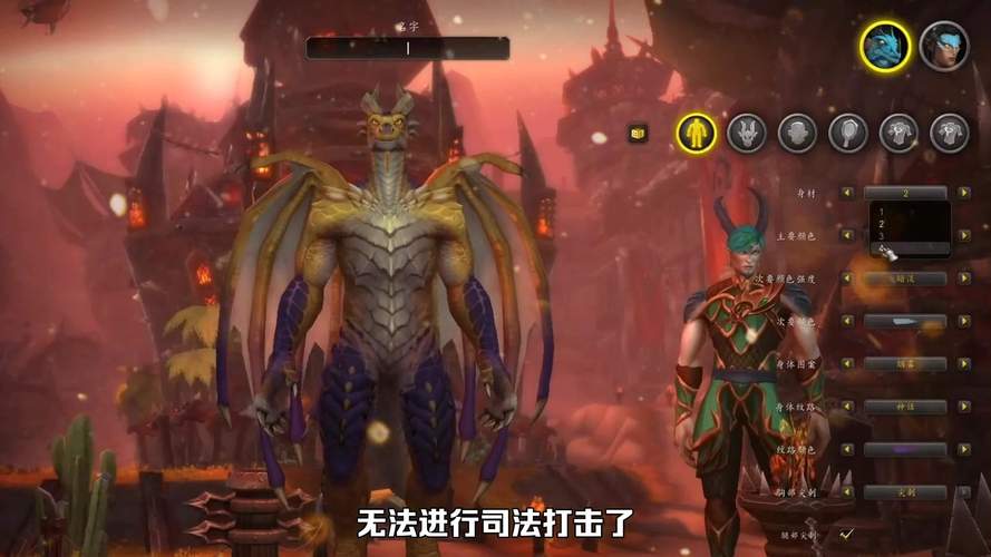 魔兽世界私服外挂论坛，风险分析与应对策略