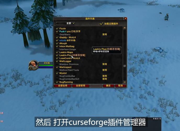 魔兽世界私服插件下载指南，全面攻略与最佳实践