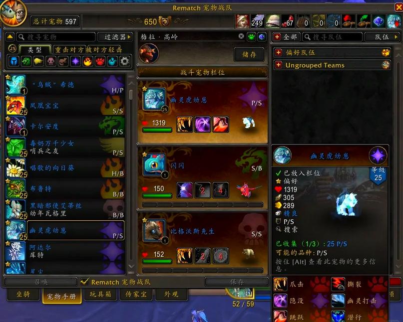 魔兽世界私服宠物异常问题引发玩家困扰