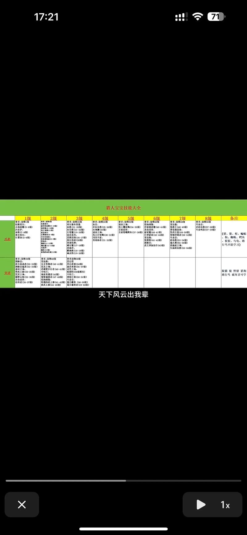 猎人宝宝卡技能解析与优化策略，提升战斗效率的关键