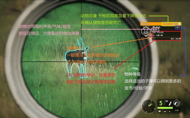 猎人宝宝卡技能解析与优化策略