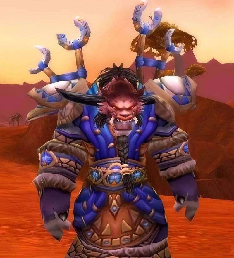 探索魔兽私服的魅力与风险