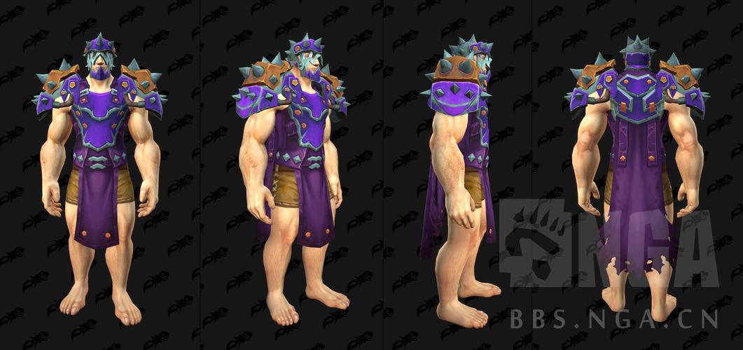 NGA魔兽世界私服玩家社区，深度解析与探索
