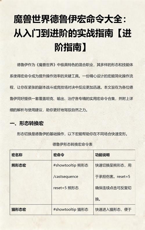 魔兽世界私服入门指南，如何开始你的私人服务器之旅