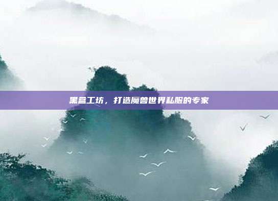 黑盒工坊，打造魔兽世界私服的专家