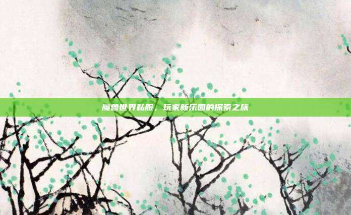 魔兽世界私服，玩家新乐园的探索之旅